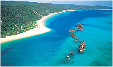 Dolphin Wild - Accommodation Cairns 3
