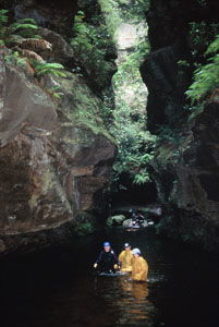 High And Wild Mountain Adventures - Accommodation Cairns 1