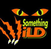 Something Wild - Accommodation Cairns