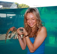 Crocosaurus Cove - Accommodation Cairns