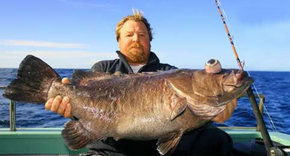 Bravo Fishing Charters - Accommodation Cairns 0