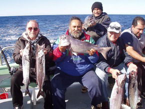 Bravo Fishing Charters - Accommodation Cairns 1