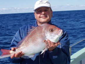 Bravo Fishing Charters - Accommodation Cairns 3