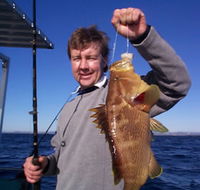 Downunder Charters - Accommodation Cairns