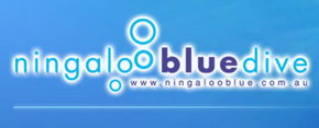 Ningaloo Blue Dive - Accommodation Cairns 0