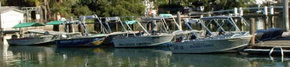 Brooklyn Central Boat Hire & General Store - Accommodation Cairns 1
