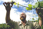  Accommodation Cairns