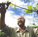 Barossa Experience Tours - Accommodation Cairns