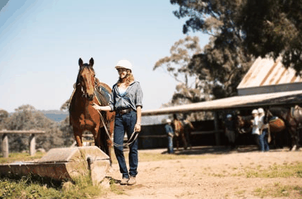 Watsons Trail Rides - Accommodation Cairns