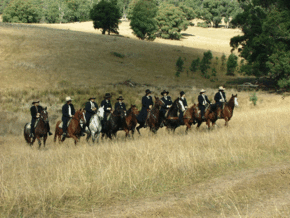 McCormacks Mountain Valley Trail Rides - Accommodation Cairns