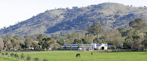Blue Gum Farm - Accommodation Cairns 1