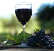 Lion Mill Vineyards - Accommodation Cairns