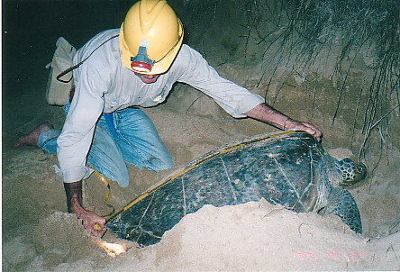 Footprints Adventures - Accommodation Cairns 2