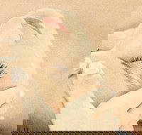 The Golden Door Spa  Health Club at Mirage Resort - Accommodation Cairns