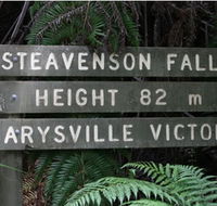Stevensons Falls - Accommodation Cairns