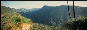 Lamington National Park And OReillys - Accommodation Cairns 1