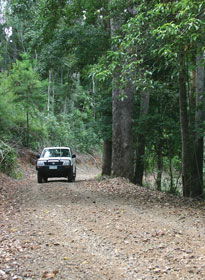 Lamington National Park And OReillys - Accommodation Cairns 2