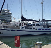 Coral Sea Dreaming Dive and Sail - Accommodation Cairns