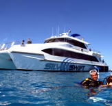 Silver Swift - Accommodation Cairns