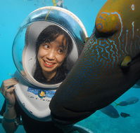 Sunlover Reef Cruises - Accommodation Cairns