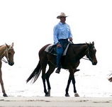 Ride the Beach - Accommodation Cairns