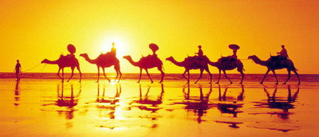 Banksia Adventures - Accommodation Cairns 1