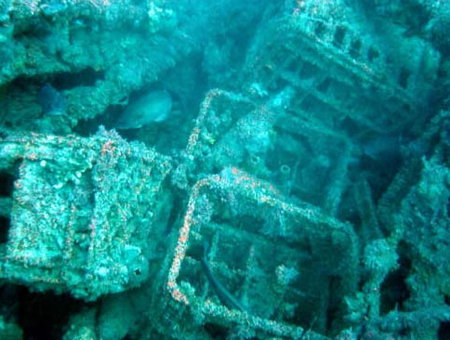 Underwater Sports Diving Centre - Accommodation Cairns 0