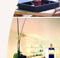 Lyall Hotel and Spa - Accommodation Cairns