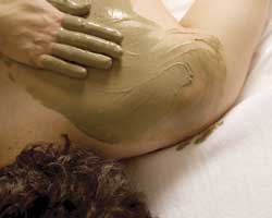 Alkaline Spa & Clinic - Accommodation Cairns 2