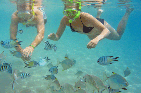 Australian Kayaking Adventures - Accommodation Cairns 2