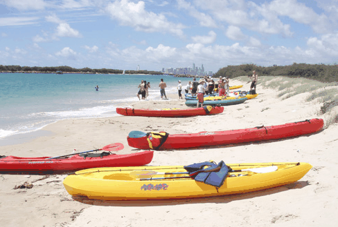 Australian Kayaking Adventures - Accommodation Cairns 3