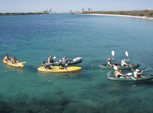 Australian Kayaking Adventures - Accommodation Cairns 4