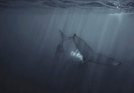 Eleven40 Gallery - Accommodation Cairns 4