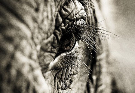 Eleven40 Gallery - Accommodation Cairns 5