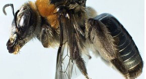 City Delivery Centre WA Accommodation Cairns