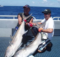 Blue Juice Charters - Accommodation Cairns
