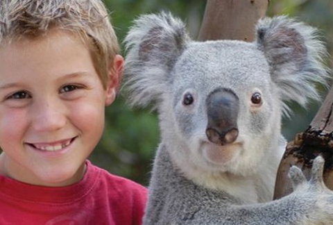 Featherdale Wildlife Park - Accommodation Cairns 1