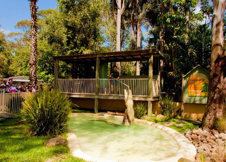 Featherdale Wildlife Park - Accommodation Cairns 2