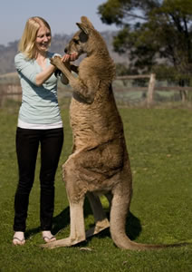 Zoo Doo Wildlife Park - Accommodation Cairns 5