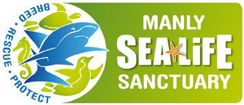 Manly SEA LIFE Sanctuary - Accommodation Cairns 0