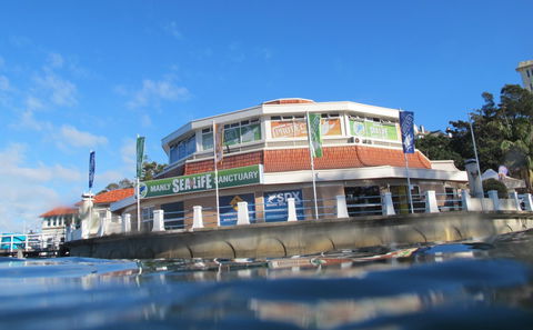 Manly SEA LIFE Sanctuary - Accommodation Cairns 2