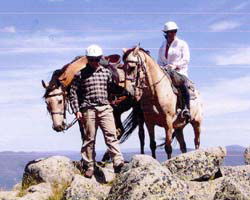 High Country Horses - Accommodation Cairns 3