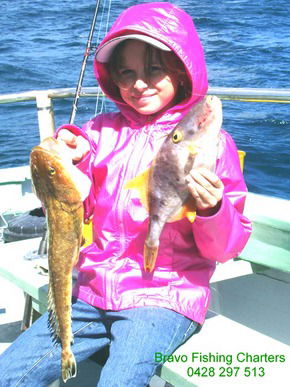 Bravo Fishing Charters - Accommodation Cairns 5