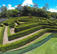 Bellingham Maze - Accommodation Cairns