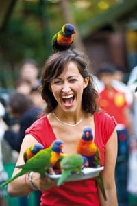 Currumbin Wildlife Sanctuary - Accommodation Cairns 10