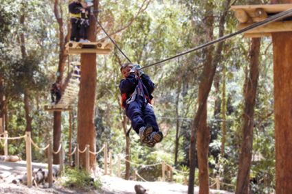 Currumbin Wildlife Sanctuary - Accommodation Cairns 11