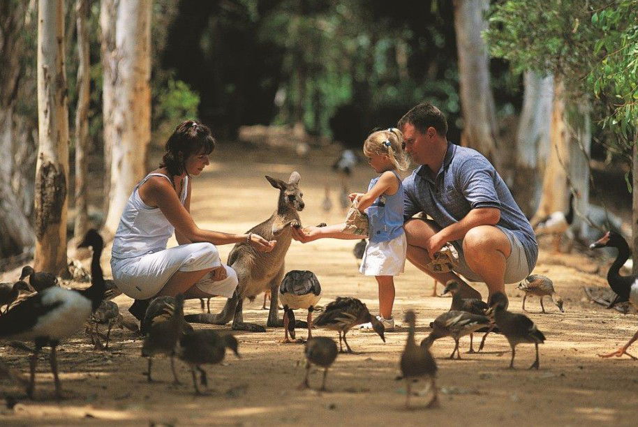  Accommodation Cairns