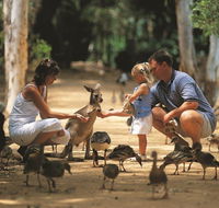 Billabong Sanctuary - Accommodation Cairns