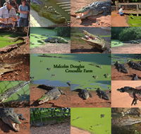 The Malcolm Douglas Crocodile Park - Accommodation Cairns