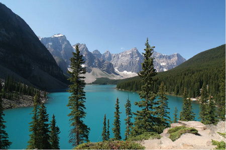 APT - Accommodation Cairns 5